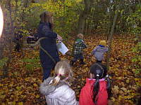 Forest Day