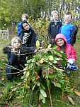 Forest Day