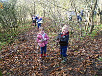 Forest Day