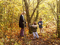 Forest Day