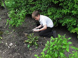 Sensory Garden