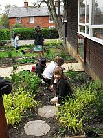 Sensory Garden
