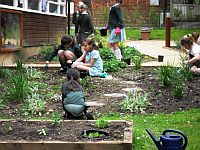 Sensory Garden